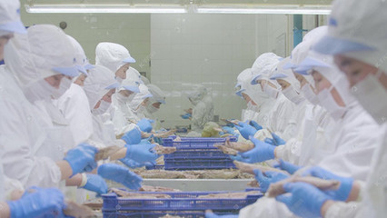 震撼重庆盘龙立交全景车流延时与食品添加剂生产的现代都市交响曲