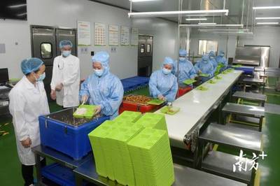 南方观察|博罗启动“链长制”，首发者为何是食品添加剂产业？