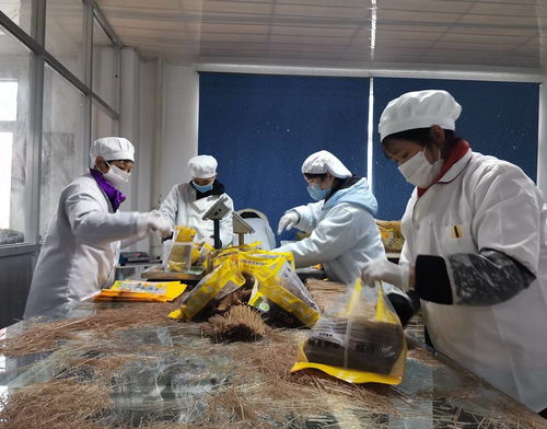德江喜迎年货季 传统美食加工忙，食品安全与添加剂生产并重